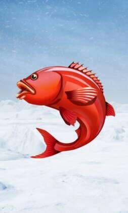 Ice Fishing — Slot bei Iris Casino